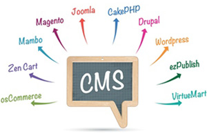 Verschiedene CMC Systeme für Ihre Homepage